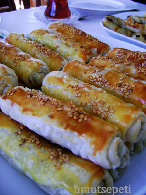 salı 078