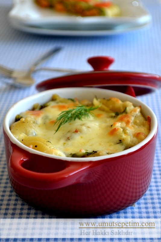 Resimli makarna tarifleri makarna sosları,kolay makarna tarifleri,kolay makarna tarifleri