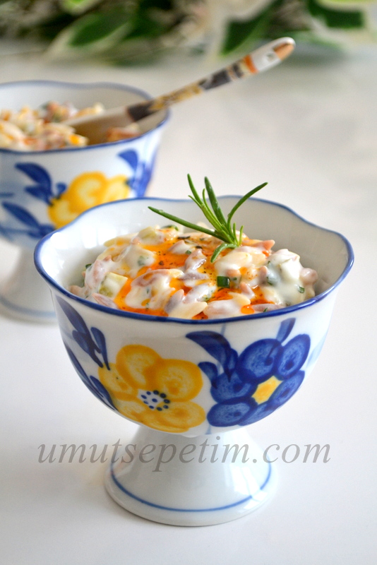 garnitürlü şehriye salatası DSC_0658