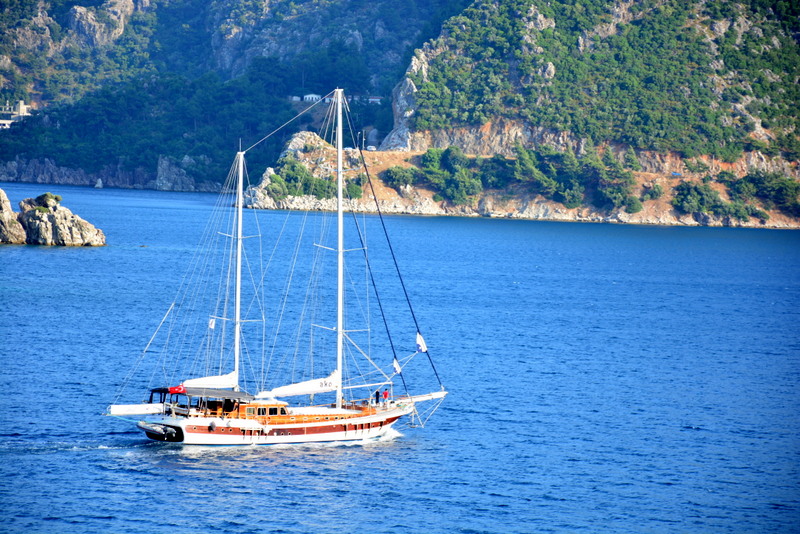 DSC_8646